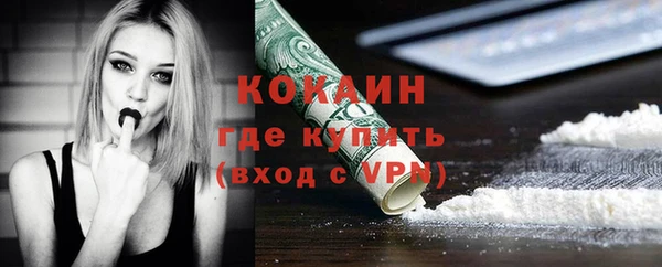 молекула духа Арсеньев