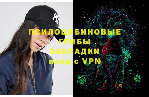 ГАЛЛЮЦИНОГЕННЫЕ ГРИБЫ Баксан