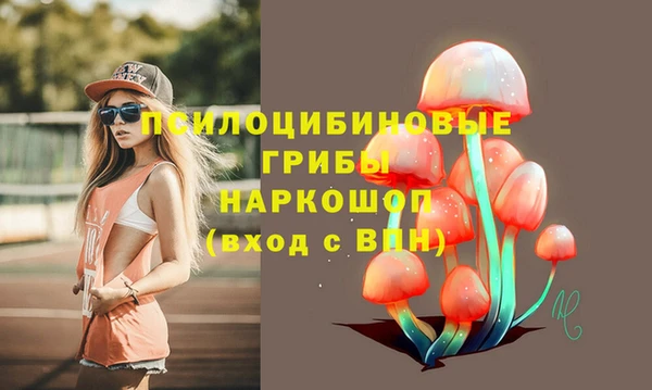 mix Снежинск