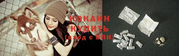 ГАЛЛЮЦИНОГЕННЫЕ ГРИБЫ Баксан
