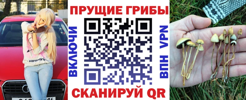 гидра   Тейково  Галлюциногенные грибы прущие грибы 